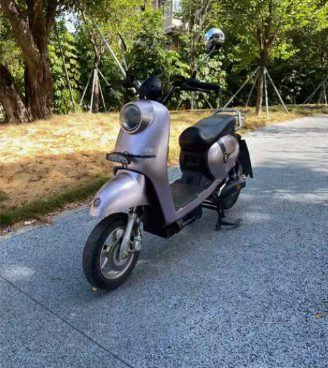 包邮品牌欧驹新国标电动车，自己用的车子，前...