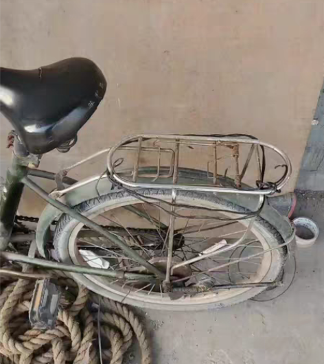 菲利普自行车骑着很轻松原装坐垫和标都在,质...