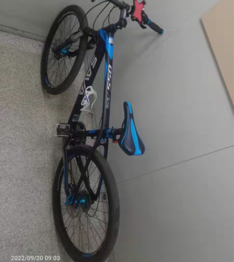 SAVA碳纤维最新款99成新sava550...