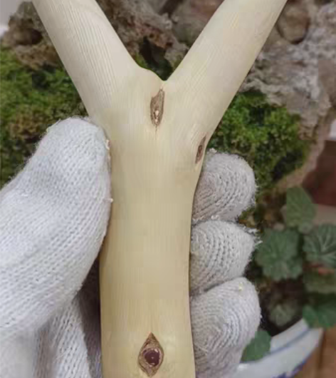 包邮弹弓太多，玩不过来，出几个闲置的。材质...