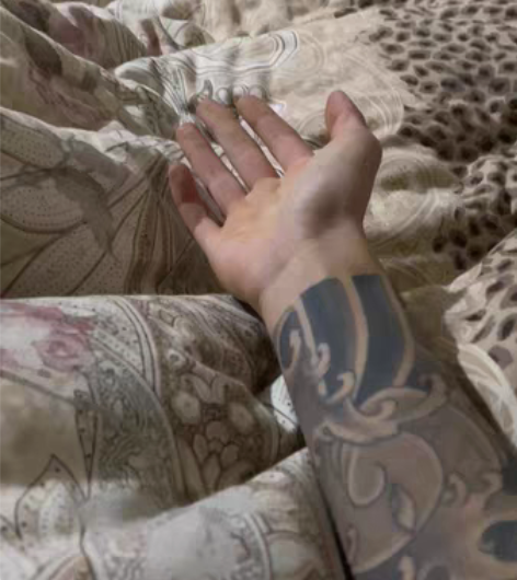 毛毛球金吉拉弟弟，两个月大，性格非常活泼好...