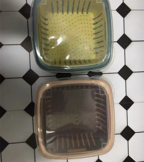 闲置物品：蔬菜水果沥水篮子2个 成色：8成...