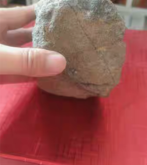 包邮石器时代，石蝉。线条流畅，精美 感兴趣...
