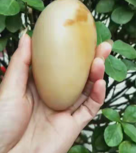 包邮长岛球石 长岛鹅卵球石 大美蓬莱仙境长...