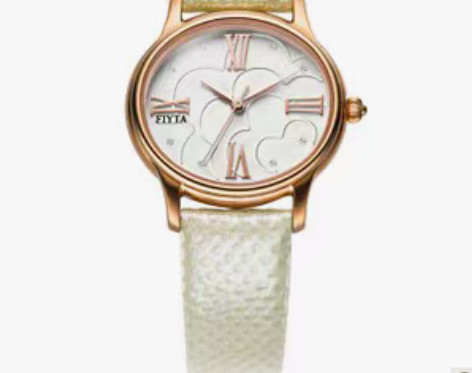 转卖FIYTA飞亚达手表 Ⅰ天… 八成新，...