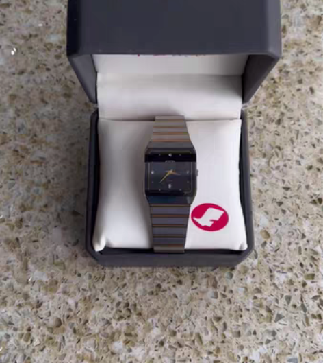 飞亚达石英表  飞亚达BMS—G888，雷...