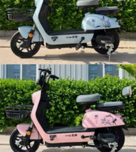 五羊电动车依旧换新1999，48/20电池...