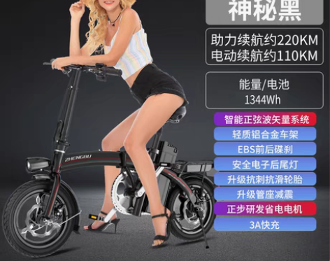 转卖【狂欢价】正步 新国标折叠电动自行车 ...