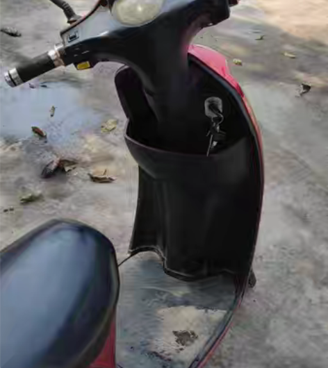 奇蕾名牌电动自行车 型号 : 48伏—12...