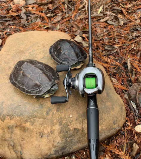 包邮21款日版子龙，左手7速，买来使用三四...