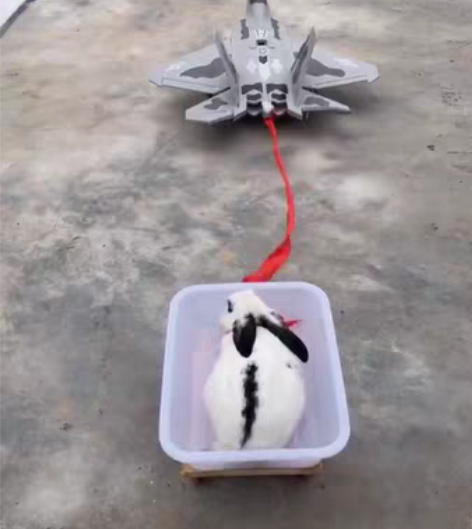 包邮遥控飞机F22EPO材质 像真机涵道 ...