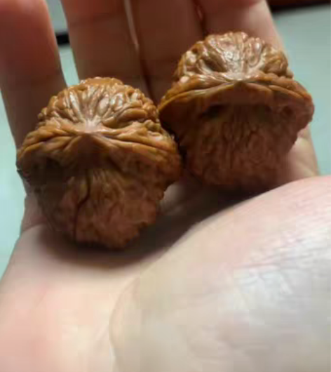 包邮蓟县元宝，38的应该，买回来给我爸玩，...