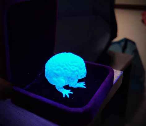 包邮脑蛙  脑子要不要 哈哈  喜欢的朋友...