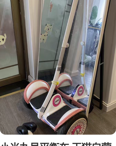 小米九号平衡车 天猫自营旗舰店购入 之前买...