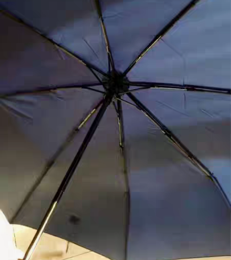 大名牌全自动天堂伞，单位发福利给的，家里雨...