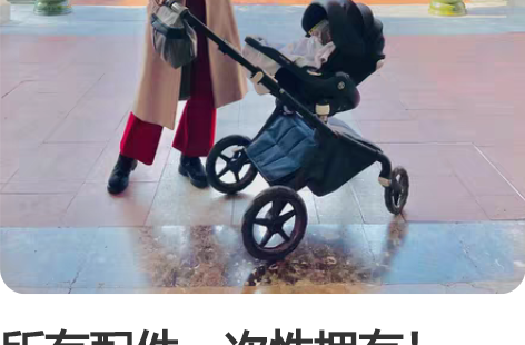 所有配件一次性拥有！（Bugaboo Fo...