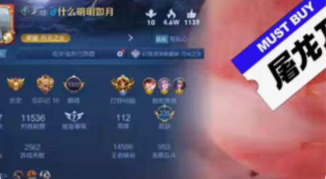 包邮王者荣耀低星号出租，全英雄满铭文，带妹...