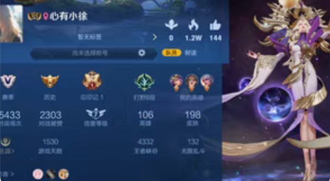 包邮武则天-倪克斯神谕/幻海之心/王者账号...