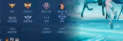 包邮英雄数量：111 皮肤数量：184 区...