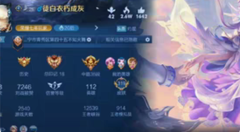 时租4r 日租20r 王者荣耀安卓 q区，...