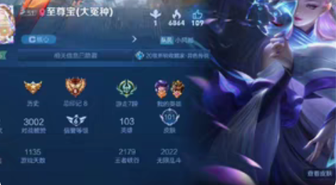 包邮V8［可排位］223皮肤/凤求凰/至尊...