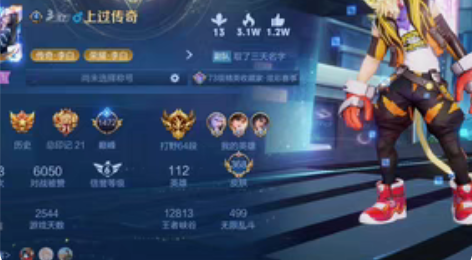 贵族等级V10，段位最强王者最高一百星传奇...