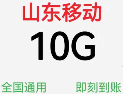 包邮山东移动流量包10G移动流量山东流量包...