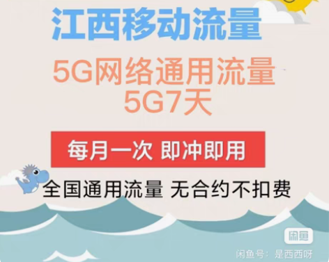 江西移动 5G网络通用流量5G7天 全国通...
