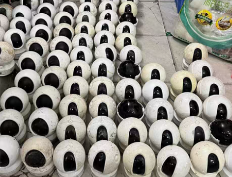 处理有绑萤石，乐橙，小米    TP   ...