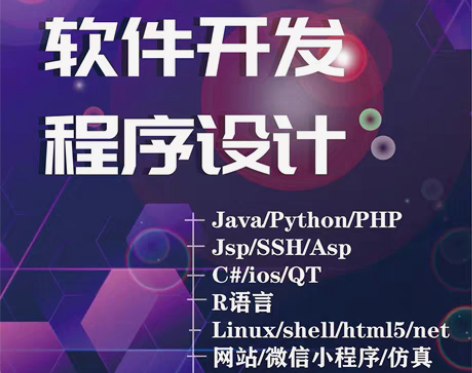 包邮计算机程序设计，java程序，小程序，...