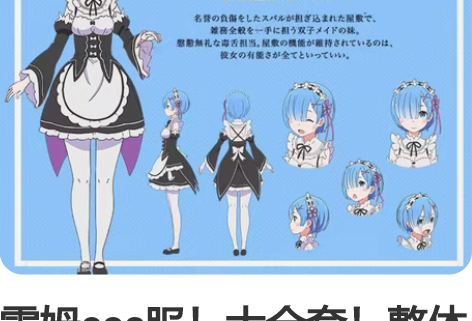 雷姆cos服!大全套!整体衣服+假毛+头饰...