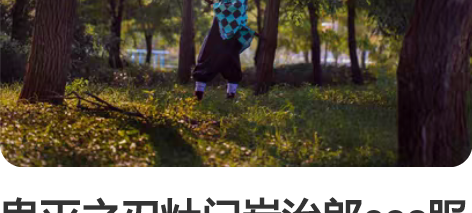 鬼灭之刃灶门炭治郎cos服大全套 包括假发...