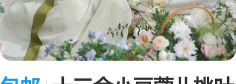 包邮十三余小豆蔻儿桃叶生～全新带吊牌～M码...