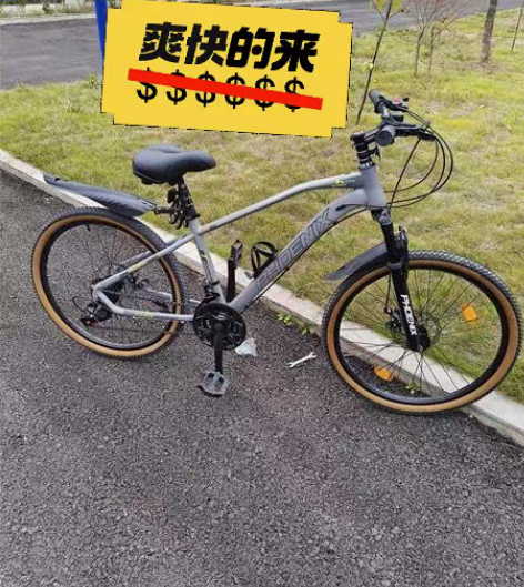 包邮【冲销量，特价出】凤凰山地车自行车成人...