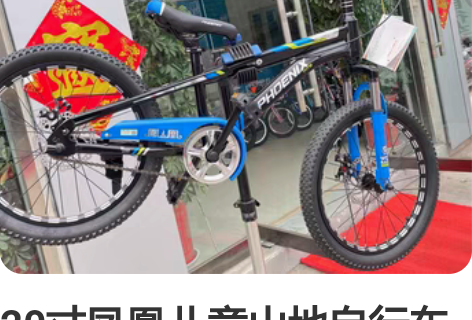 图新鲜感原价500多买的，买来没骑几次，基...