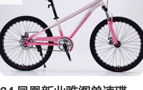 24 凤凰新业雅阁单速碟刹，适合学生的车，...