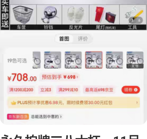 永久拍牌二八大杠，11月中旬入手全新自行车...