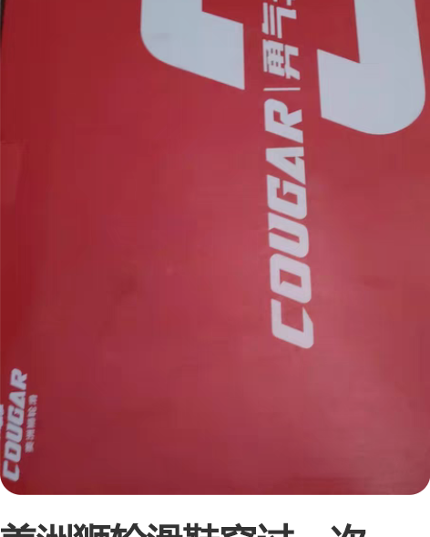 美洲狮轮滑鞋穿过一次36-39码 卖给有需...