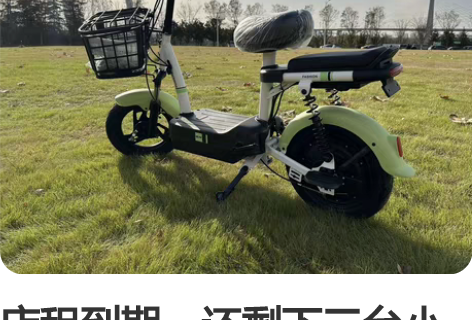 包邮【厂家周年活动】包邮全新新国标48V爱...