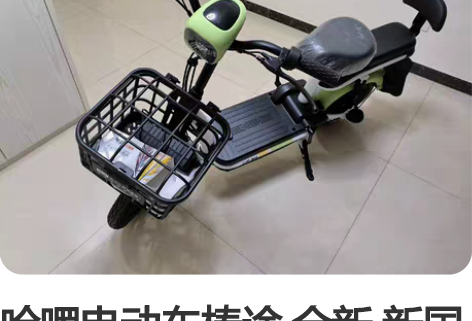 哈啰电动车棒途 全新 新国标 电动自行车 ...