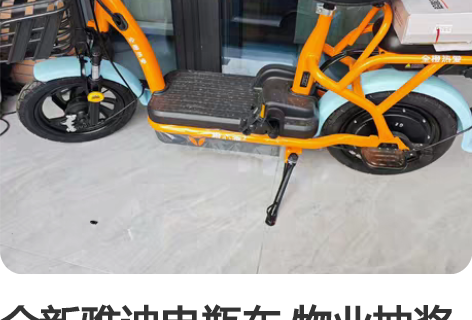 全新雅迪电瓶车 物业抽奖中的，家里已经有两...