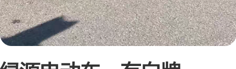 绿源电动车，有白牌，48/12，这个月新换...