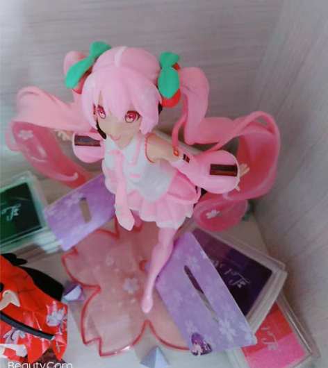 樱花初音 24r ，半包邮，可直拍，（仅拿...