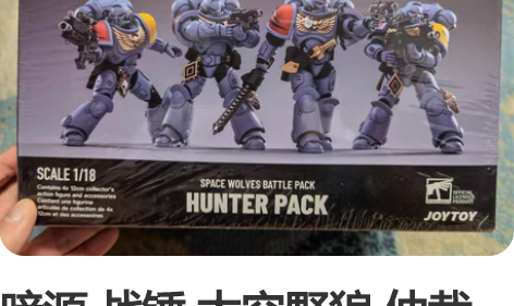 暗源 战锤 太空野狼 仲裁者小队 JOYT...