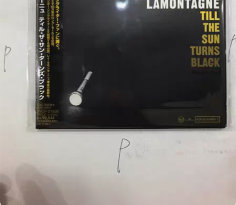 ray lamontagne 日版日版全新...