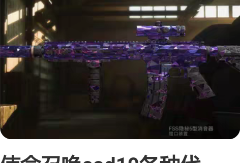 使命召唤cod19各种代肝，解锁枪械等级、...