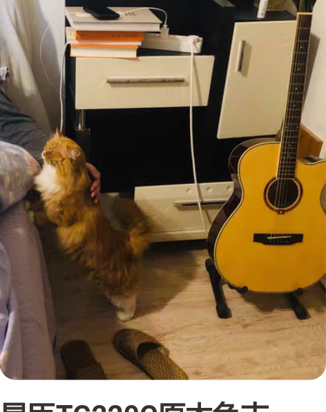 星臣TG220C原木色吉他，很好按弦，音质...