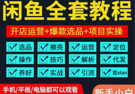 包邮免费看店铺免费分享运营教程真实数据咸鱼...
