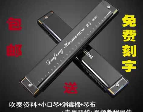 转卖24孔复音口琴C调初学者孔声乐器学生用...