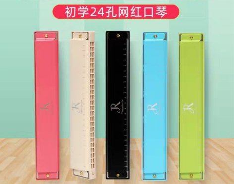 转卖口琴24孔初学者高级儿童学生口风琴男女...